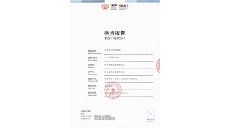 T2024ELP-R-2730704